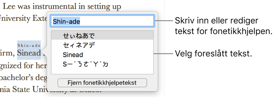 Fonetikkhjelpen er åpnet på et ord, med forklaringer for tekstfelt og foreslått tekst.