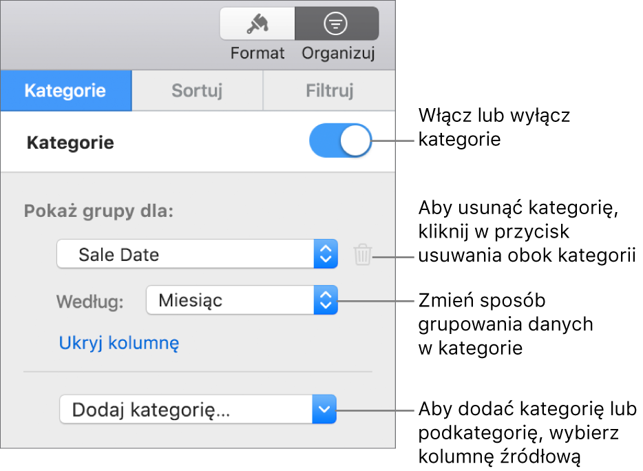 Pasek boczny kategorii z opcjami wyłączania lub usuwania kategorii, przegrupowywania danych, ukrywania kolumny źródłowej oraz dodawania kategorii.