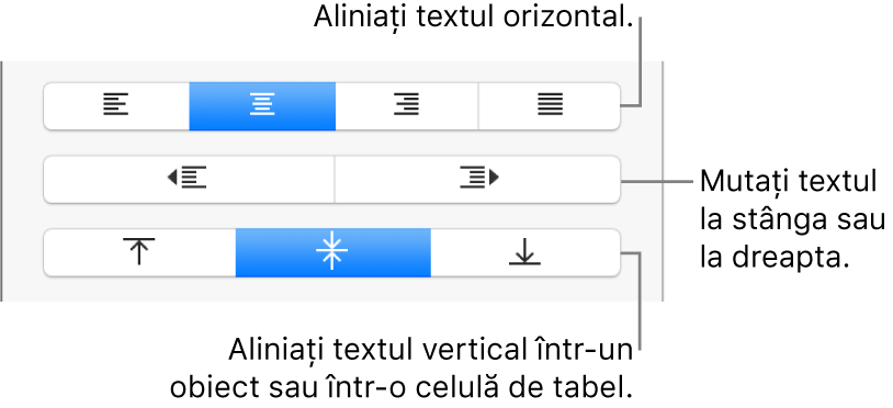 Secțiunea Aliniere a barei laterale Format cu explicații pentru butoanele de aliniere a textului.