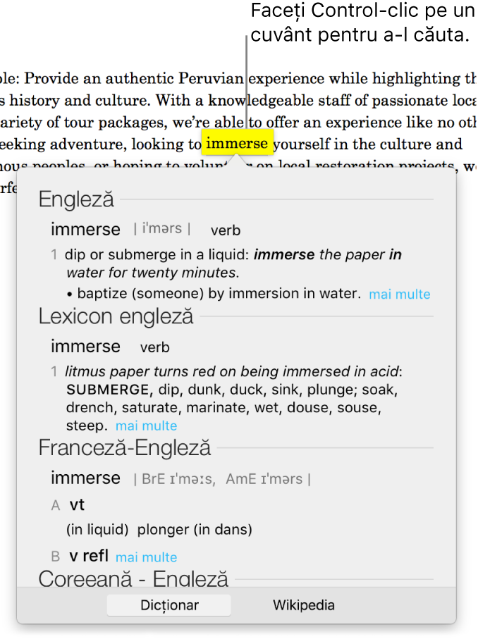 Text cu un cuvânt evidențiat și cu o fereastră care arată definiția acestuia și informații de lexicon. Două butoane din partea de jos a ferestrei oferă linkuri către dicționar și către Wikipedia.