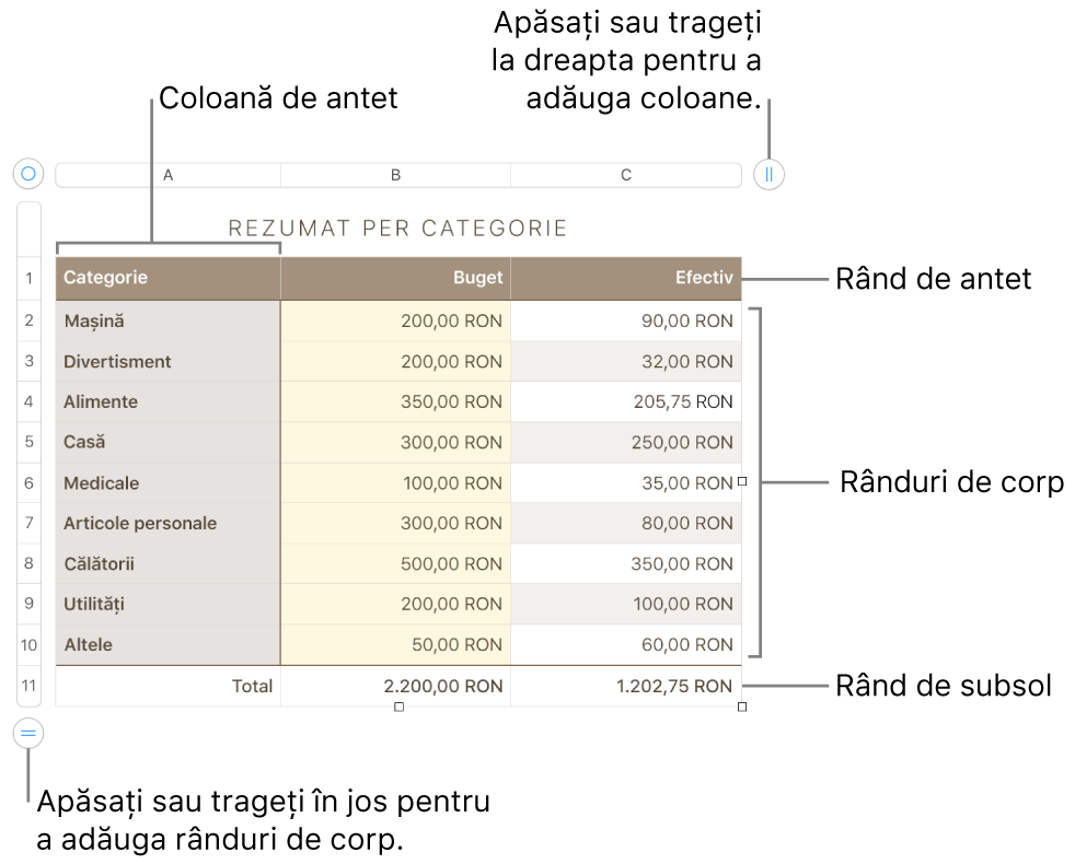 Un tabel, cu rânduri și coloane pentru antet, corp și subsol și mânere pentru adăugarea sau ștergerea rândurilor sau coloanelor.