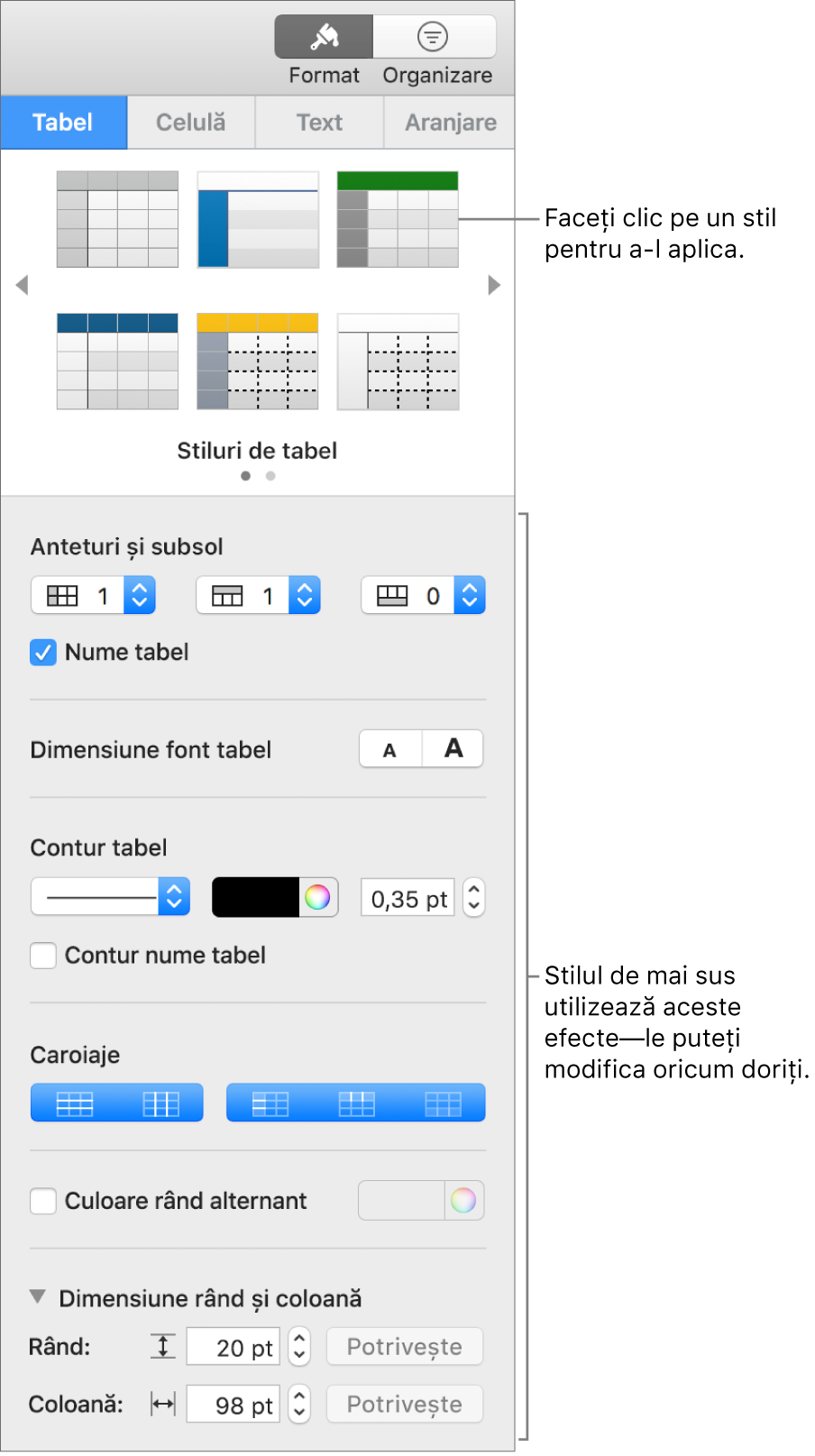 Bara laterală Format afișând stilurile de tabel și opțiunile de formatare.
