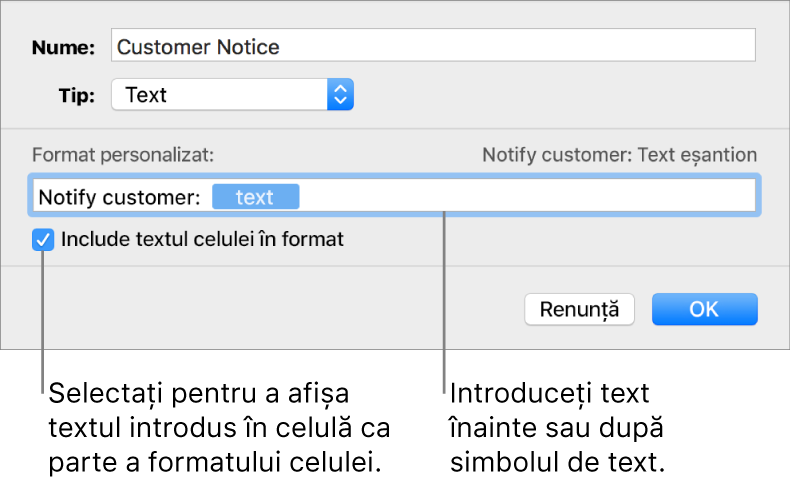 Format de text personalizat de celulă.