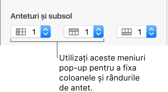 Meniuri pop-up pentru adăugarea într-un tabel a coloanelor și rândurilor de antet și subsol și pentru fixarea rândurilor și coloanelor de antet.