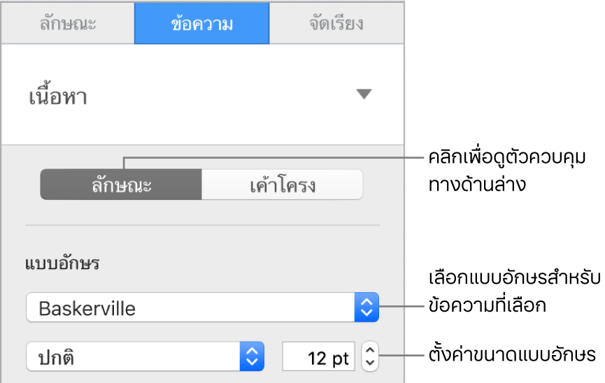 ตัวควบคุมข้อความในส่วนลักษณะของแถบด้านข้างรูปแบบสำหรับตั้งค่าแบบอักษรและขนาดแบบอักษร