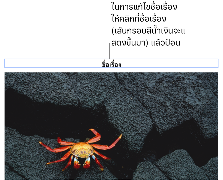 ชื่อเรื่องในที่พัก “ชื่อเรื่อง” แสดงขึ้นมาด้านล่างรูปภาพ โดยเส้นกรอบสีน้ำเงินรอบช่องชื่อเรื่องแสดงว่าถูกเลือก