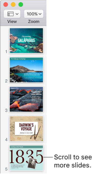 The slide navigator depicting five slides vertically in sequential order, with the option to scroll down to view more slides.