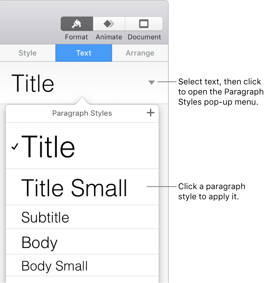 The Paragraph Styles menu with a checkmark next to the selected style.