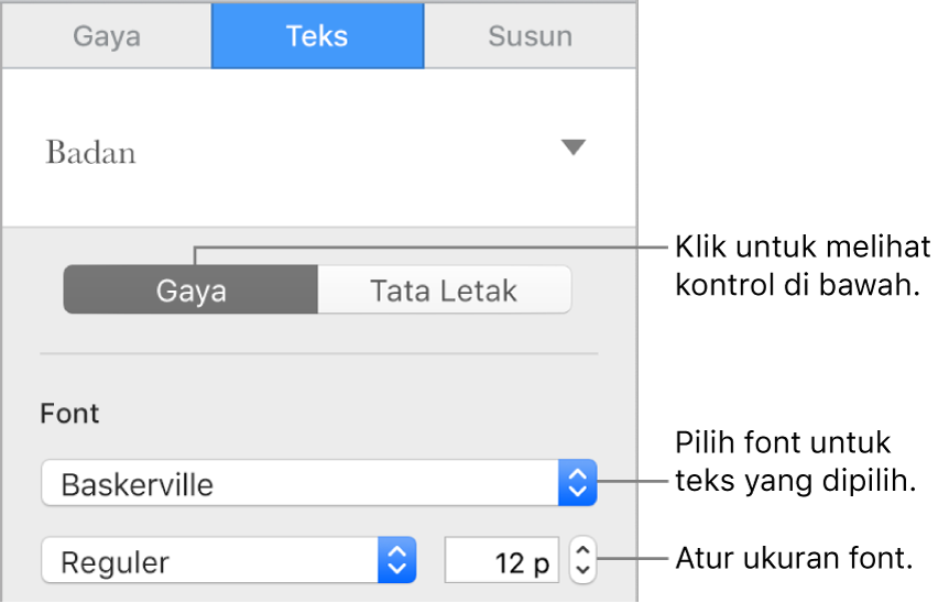 Kontrol teks di bagian Gaya pada bar samping untuk mengatur font dan ukuran font.