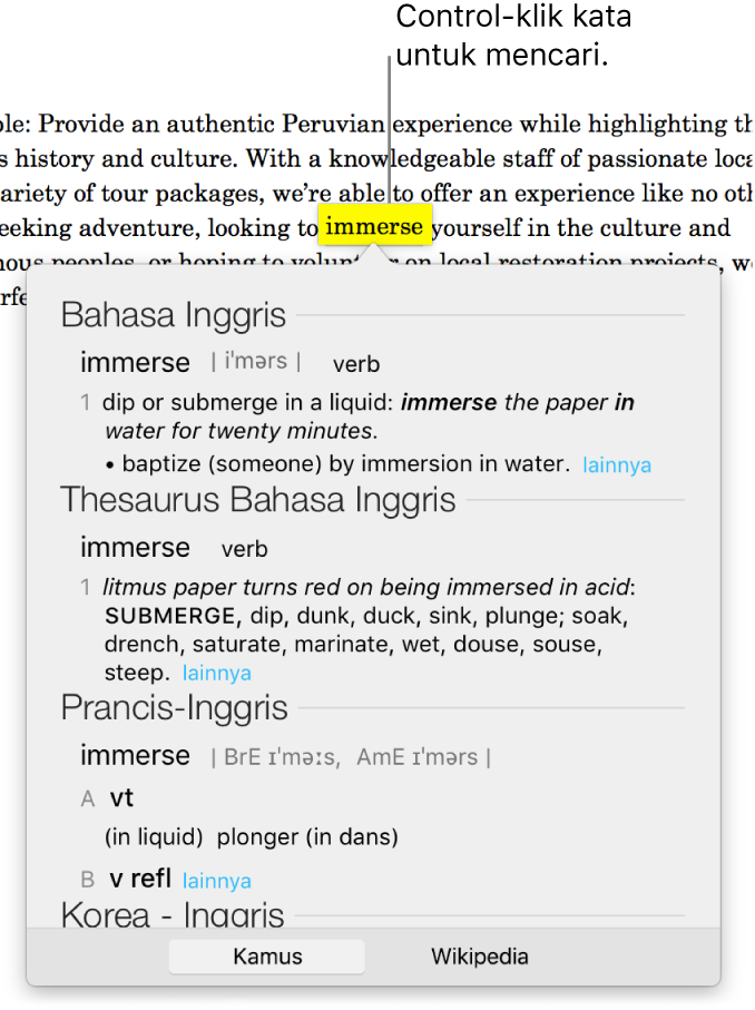 Teks dengan kata yang disorot dan jendela yang menampilkan definisinya dan entri tesaurus. Dua tombol di bagian bawah jendela memberikan tautan ke kamus dan ke Wikipedia.