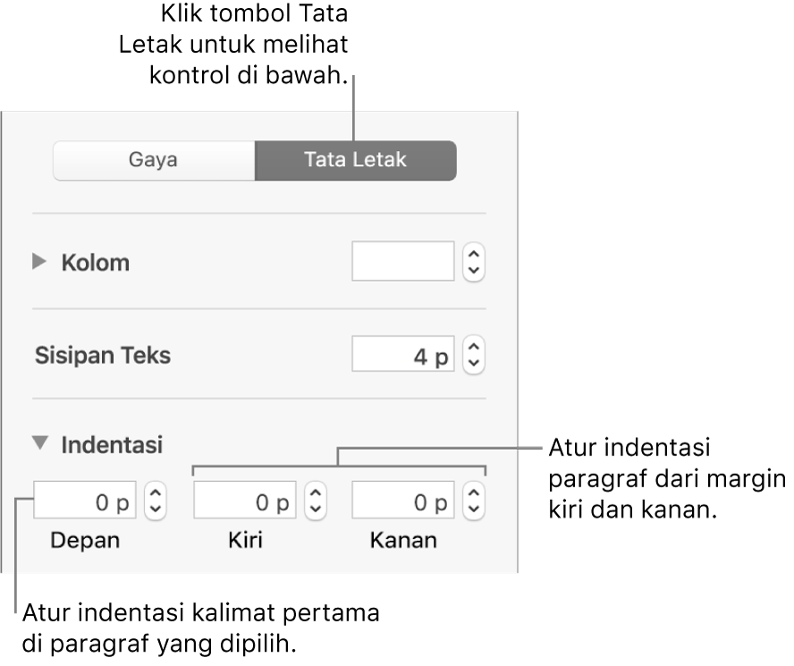 Bagian Tata Letak pada bar samping Format menampilkan kontrol untuk mengatur indentasi baris pertama dan margin paragraf.