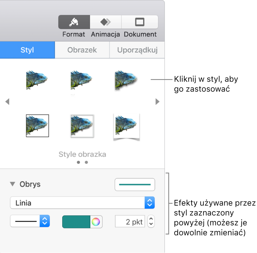 Karta Styl na pasku bocznym Format, zawierająca opcje stylu obiektu.