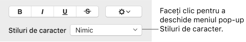 Meniul pop-up Stiluri de caracter sub comenzile pentru schimbarea stilului și a culorii textului.
