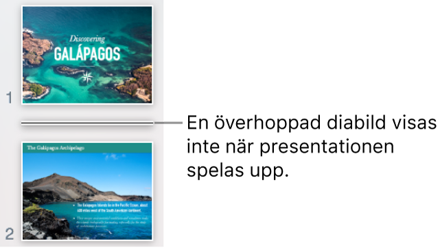 Diabildsnavigatorn med en överhoppad bild som visas som en horisontell linje.