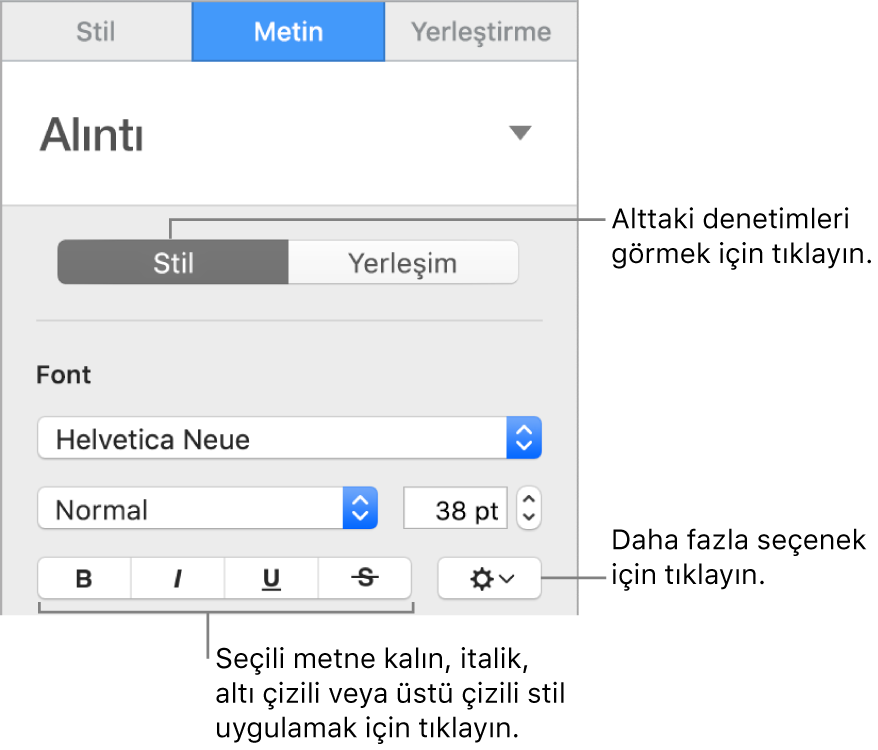 Kenar çubuğundaki Kalın, İtalik, Altı Çizili ve Üstü Çizili düğme belirtimlerini içeren Stil denetimleri.