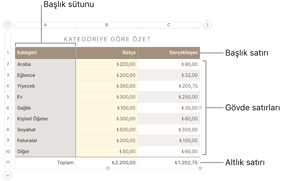 Başlık, gövde ve dipnot satırlarını ve sütunlarını ve satır veya sütun eklemek ya da silmek için tutamakları gösteren bir tablo.