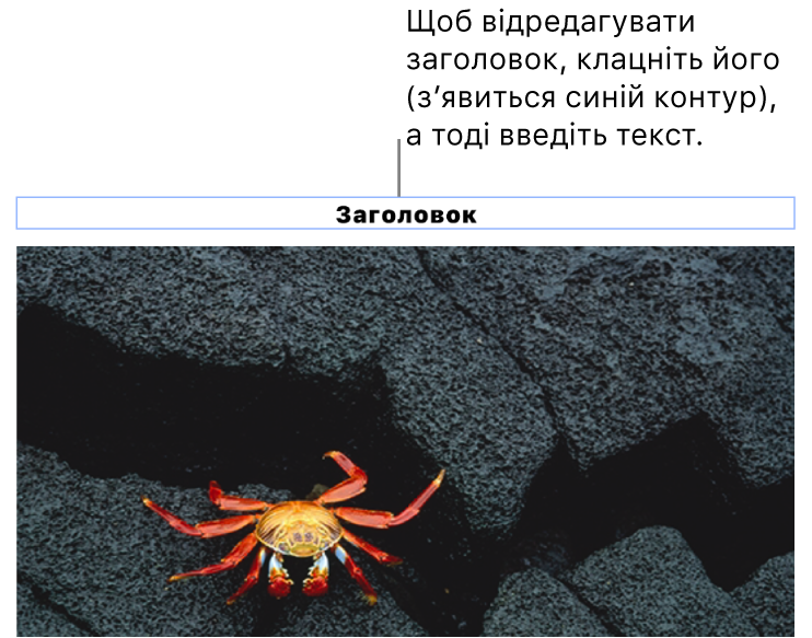 Зразок «Заголовок» відображається під фотографією, синій контур довкола поля заголовку вказує, що його вибрано.