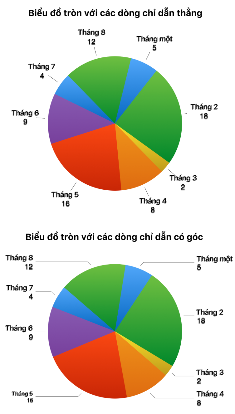 Hai biểu đồ tròn – một biểu đồ với dòng chỉ dẫn thẳng, biểu đồ còn lại với dòng chỉ dẫn có góc.