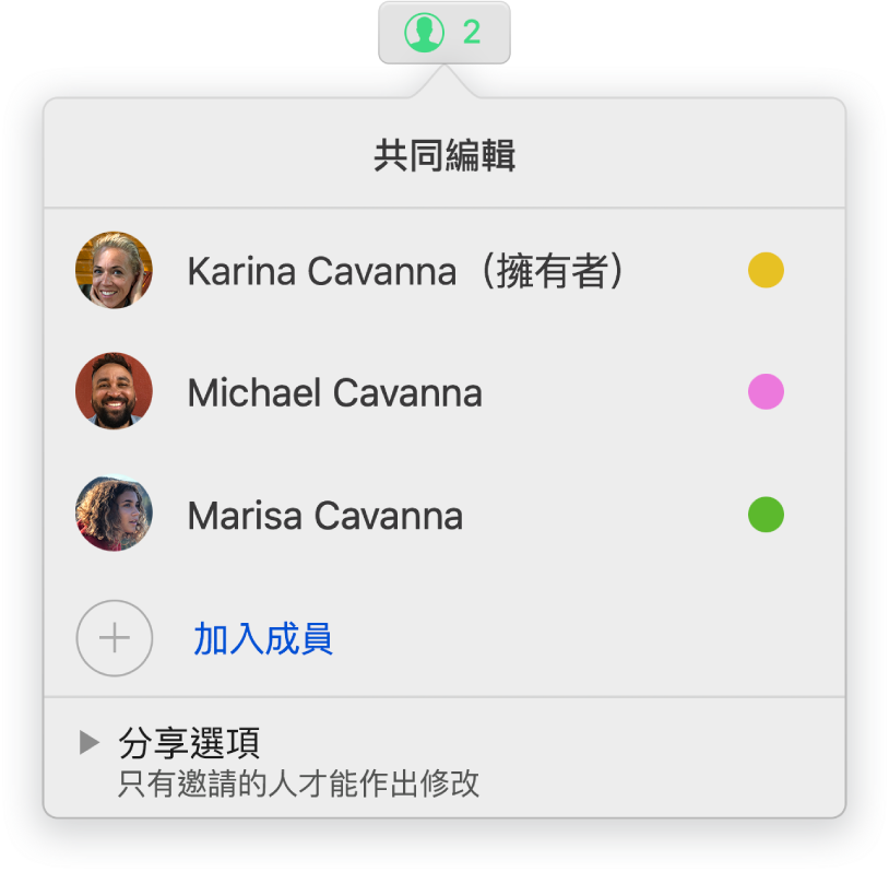 「共同編輯」選單，顯示共同編輯簡報的人員名稱。分享選項顯示在名稱下方。