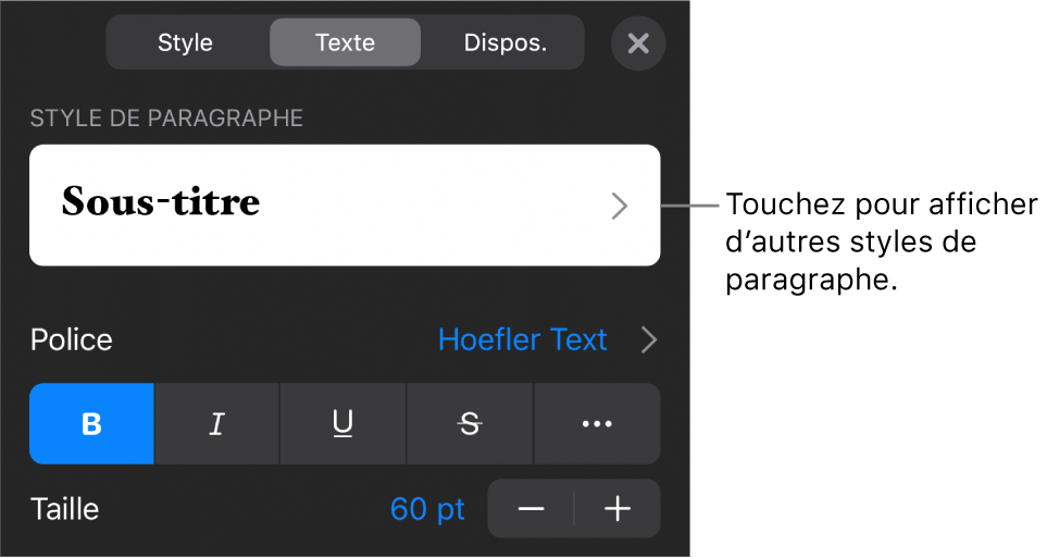 Menu Format avec commandes de texte permettant de définir les styles, la police, la taille et la couleur des paragraphes et des caractères.