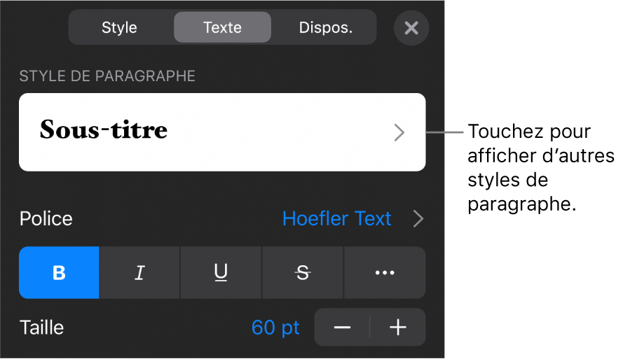 Menu Format montrant les commandes de texte permettant de définir les styles, la police, la taille et la couleur des paragraphes et des caractères.