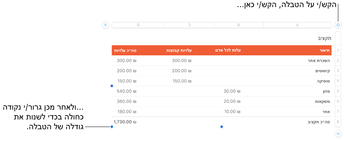 טבלה שנבחרה, עם נקודות כחולות לשינוי גודל.