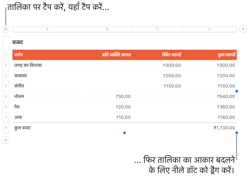आकार बदलने के लिए नीले डॉट के साथ चयनित तालिका।