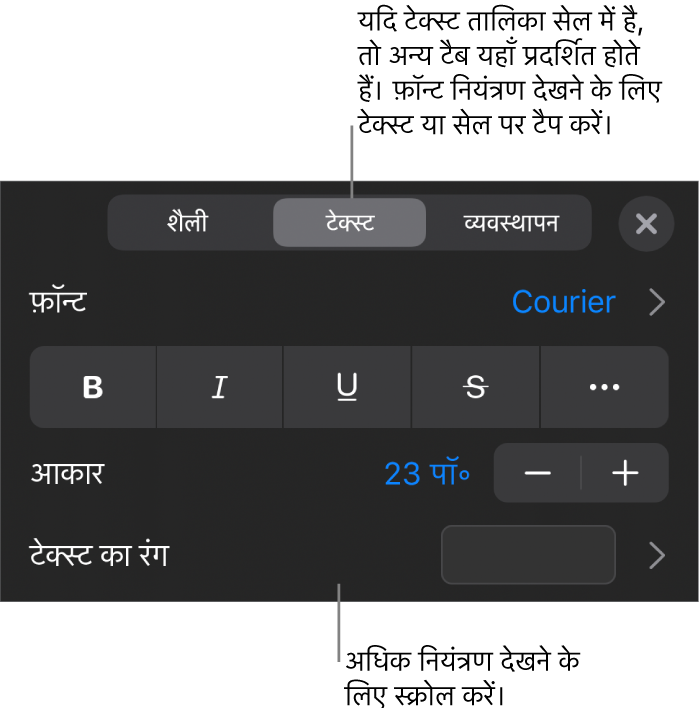 “फ़ॉर्मैट” मेनू में अनुच्छेद सेटिंग और वर्ण शैली, फ़ॉन्ट, आकार और रंग के लिए टेक्स्ट नियंत्रण।