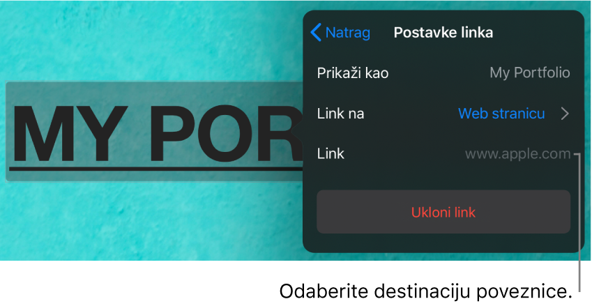 Kontrole Postavke linkova s poljem Prikaži, Link na (odabrana je Web stranica) i Link. Tipka Ukloni link nalazi se pri dnu.