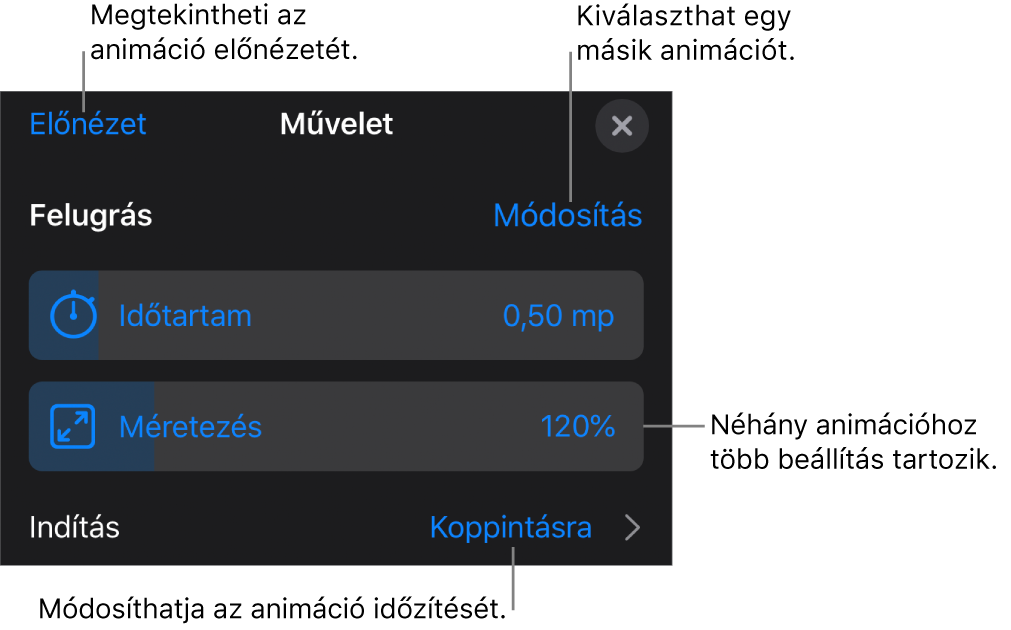 Az Animációra vonatkozóan megadhatja többek között az Időtartam és az Indítás időzítésének beállításait. Ha másik animációt szeretne választani koppintson a Módosítás lehetőségre, vagy az Előnézet lehetőségre koppintva megtekintheti az animáció előnézetét.