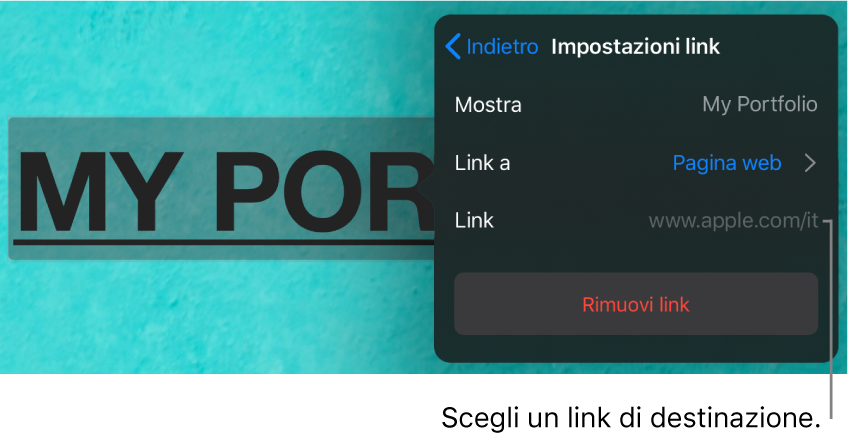 I controlli “Impostazioni link” con i campi Mostra, “Link a” (con “Pagina web” selezionato) e Link. Nella parte inferiore è presente il pulsante “Rimuovi link”.