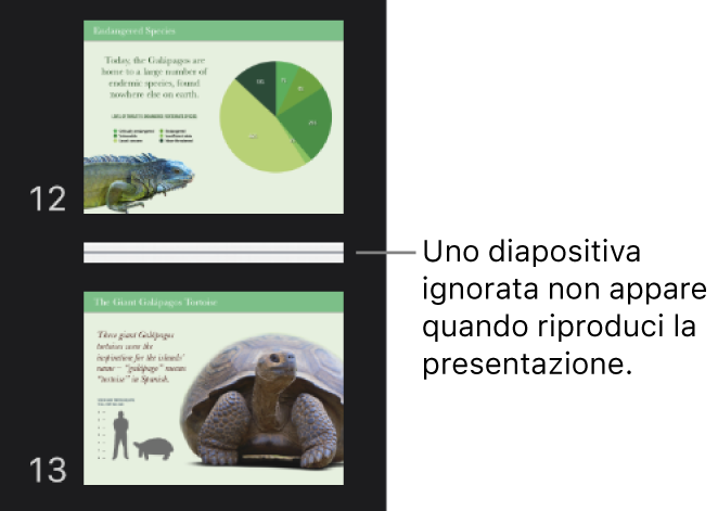 Navigatore diapositive con una diapositiva ignorata visualizzata come una linea orizzontale.