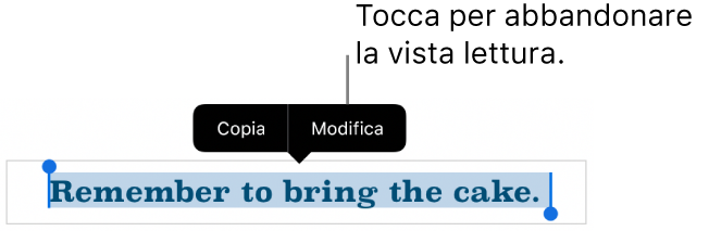 Viene selezionata una frase e al di sopra di essa si trova un menu contestuale con i pulsanti Copia e Modifica.