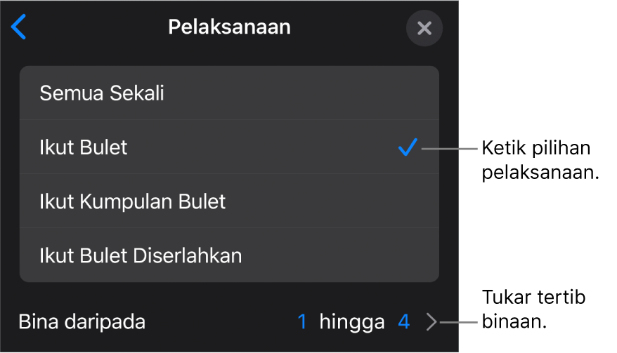 Pilihan Pelaksanaan dalam anak tetingkap Binaan Dalam.