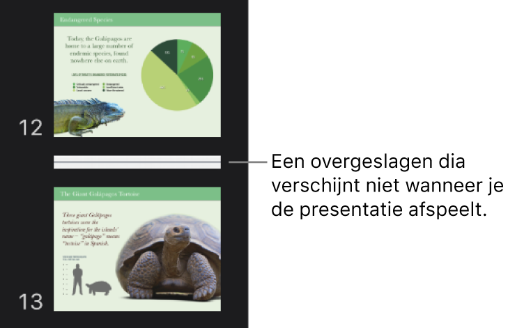 Het dianavigatiepaneel met een overgeslagen dia als horizontale lijn.