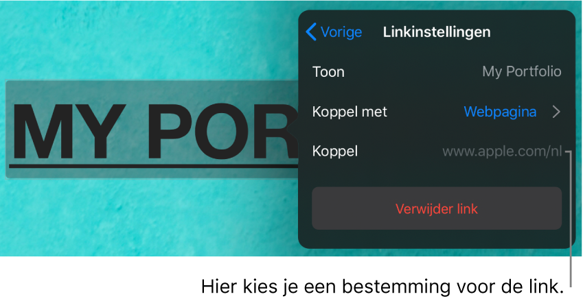 De regelaars voor linkinstellingen met velden voor 'Toon', 'Koppel met' ('Webpagina' is geselecteerd) en 'Link'. Onderaan staat de knop 'Verwijder link'.