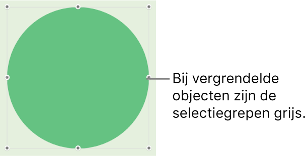 Een vergrendeld object met gedimde selectiegrepen.