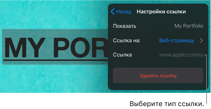 Элементы управления «Настройки ссылки» с полями «Показывать», «Ссылка на» (выбран вариант «Веб-страницу») и «Ссылка». Внизу находится кнопка «Удалить ссылку».