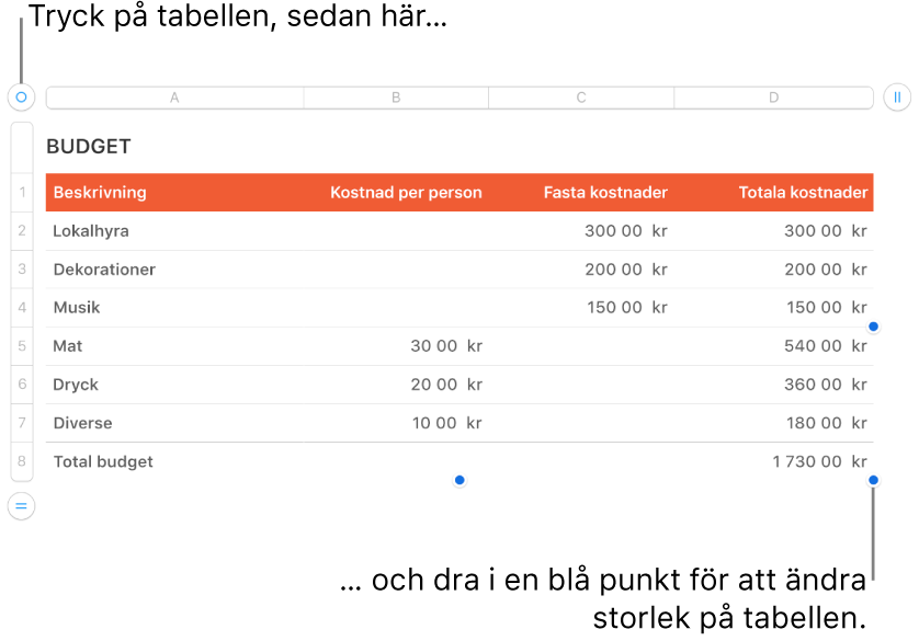 En markerad tabell med blå punkter som används till att ändra storleken.