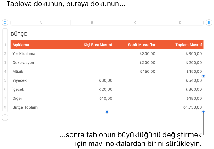 Yeniden boyutlandırma için mavi noktaları bulunan seçili bir tablo.