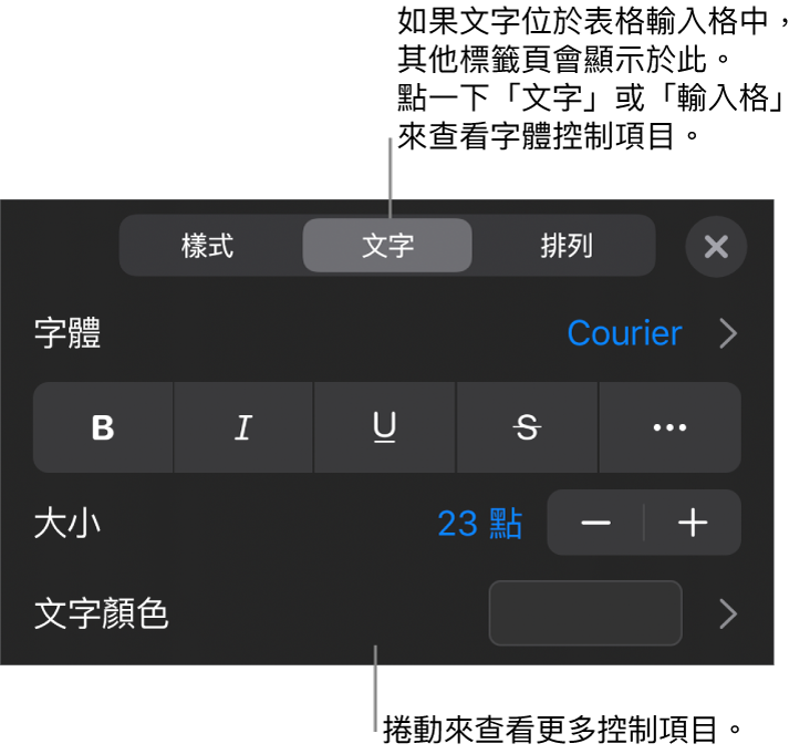 「格式」選單中設定段落及字元樣式、字體、大小和顏色的文字控制項目。