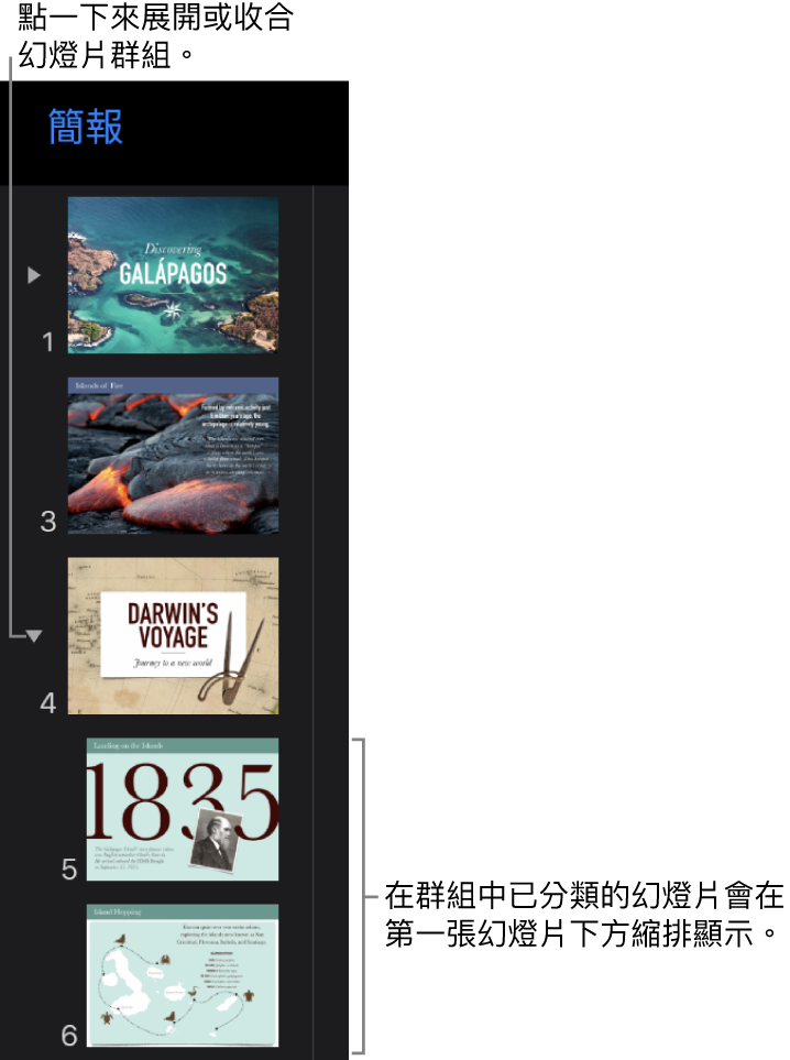 顯示內縮幻燈片的幻燈片導覽器。
