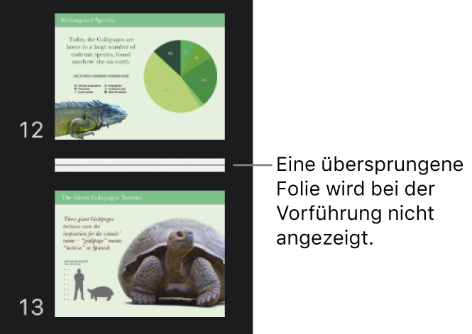 Der Foliennavigator mit einer ausgeblendeten Folie, die als horizontale Linie dargestellt wird