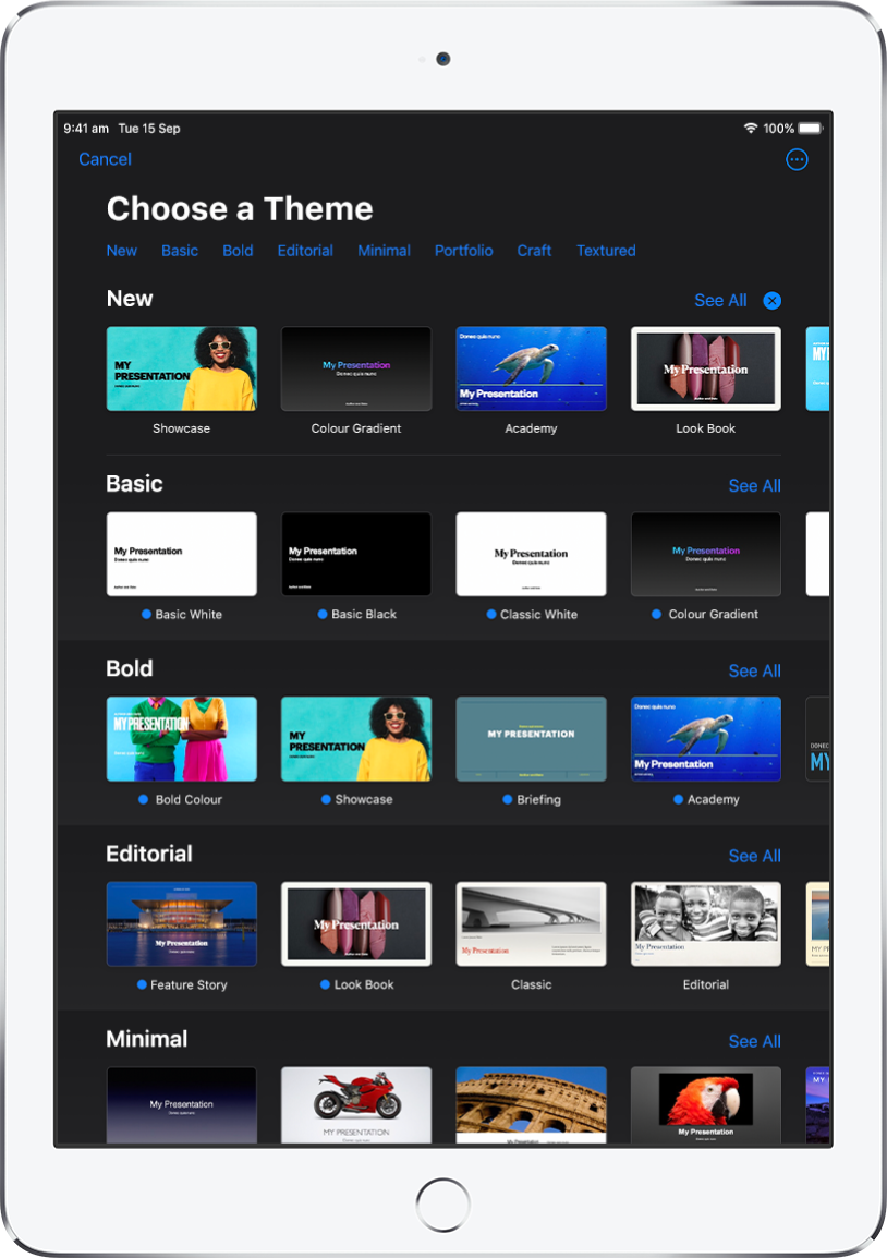 The theme chooser, showing a row of categories across the top that you can tap to filter the options. The More button is in the top-right corner, where you can set Standard or Wide format and set formatting for a specific language or region. Below are thumbnails of pre-designed themes arranged in rows by category. A See All button appears above and to the right of each category row.