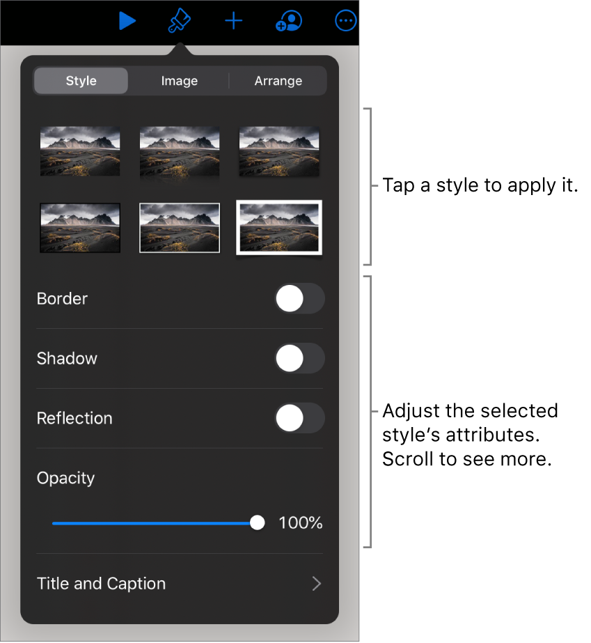 The Style tab of the Format menu with object styles at the top and controls below them to change the border, shadow, reflection, and opacity.