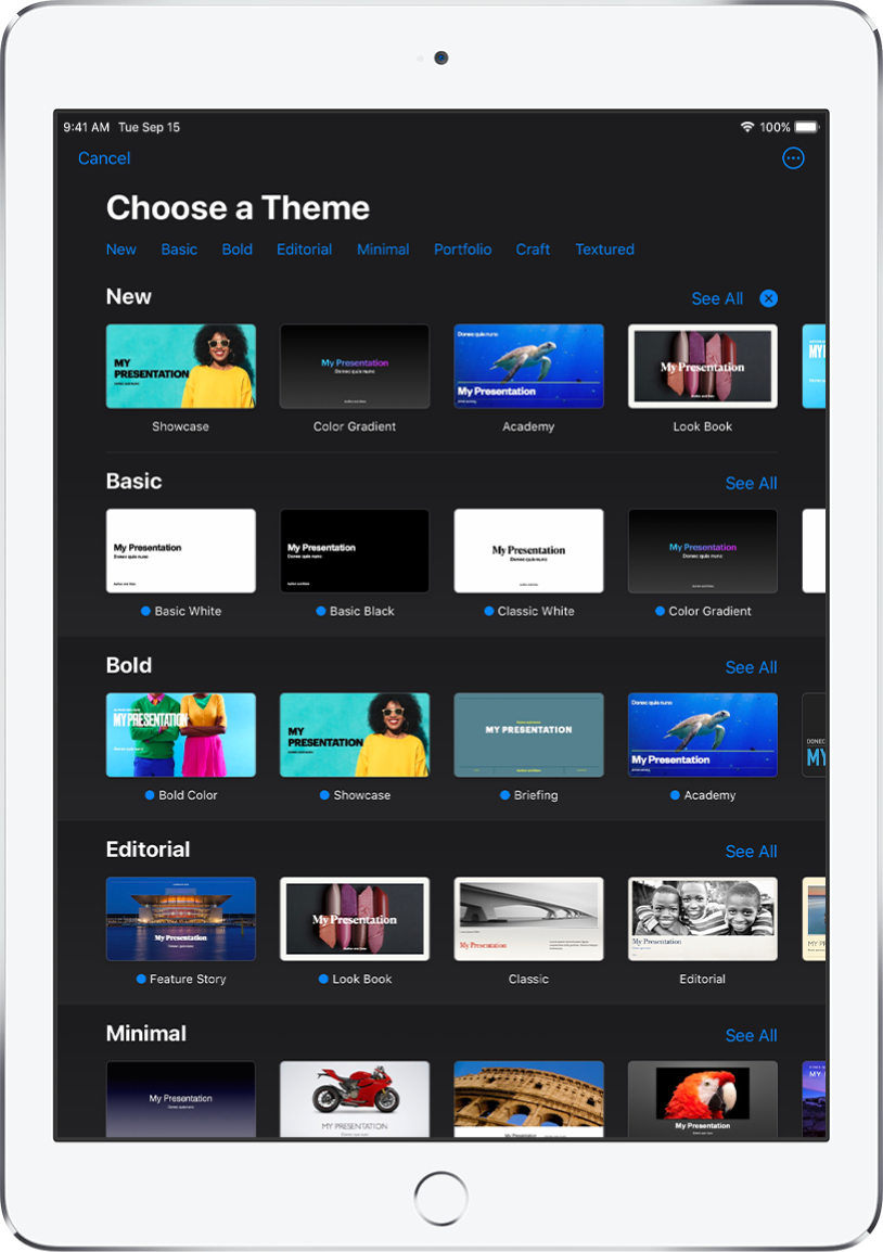 The theme chooser, showing a row of categories across the top that you can tap to filter the options. The More button is in the top-right corner, where you can set Standard or Wide format and set formatting for a specific language or region. Below are thumbnails of predesigned themes arranged in rows by category. A See All button appears above and to the right of each category row.