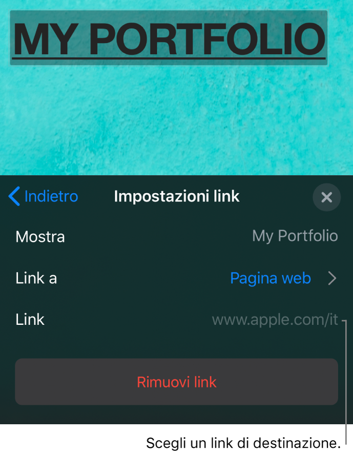 I controlli “Impostazioni link” con i campi Mostra, “Link a” (con “Pagina web” selezionato) e Link. Nella parte inferiore è presente il pulsante “Rimuovi link”.