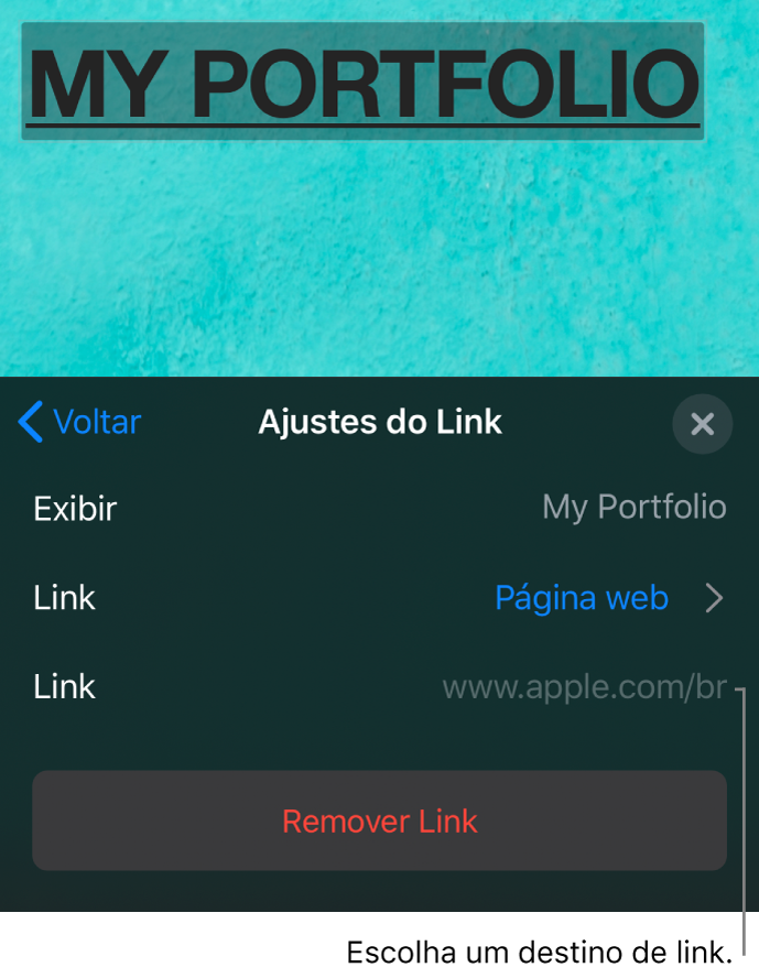 Controles “Ajustes do Link” com os campos Exibir, Link (definido como Página web) e Link. O botão Remover Link está na parte inferior.