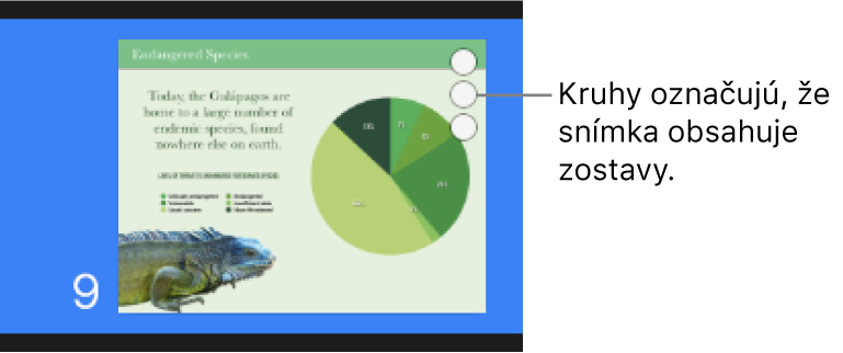 Snímka s tromi kruhmi v pravom hornom rohu, čo znamená, že snímka obsahuje zostavy.