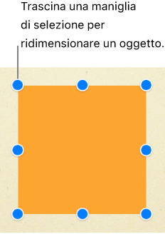 Un quadrato con le maniglie di selezione visibili su ogni angolo e nel punto centrale di ogni lato.